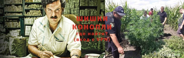 прущая мука Магас
